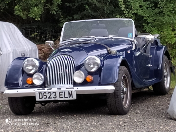 Beautiful dark blue Morgan