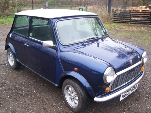 Blue Mini